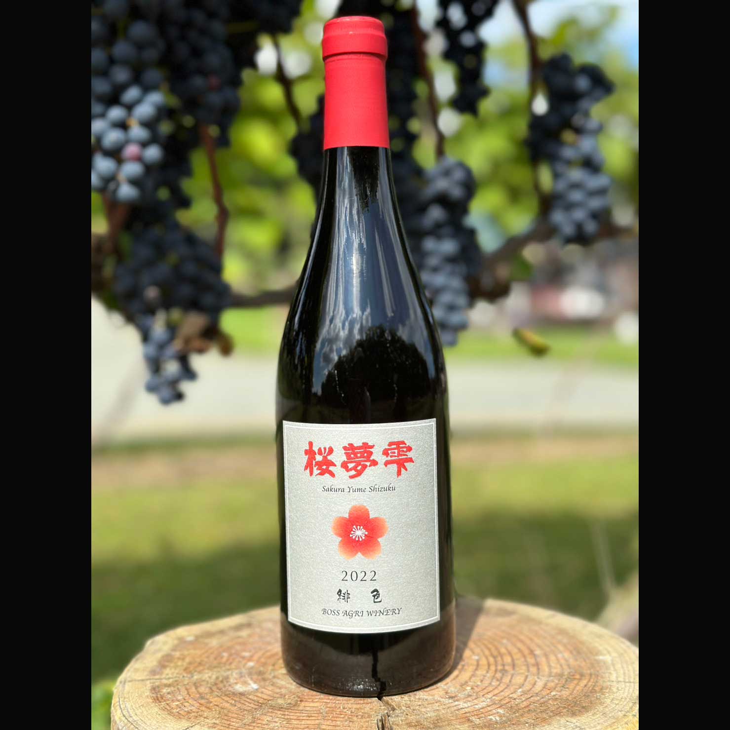 北海道産】桜夢雫 緋色/ やや辛口・赤ワインのお取り寄せ【ボス アグリ