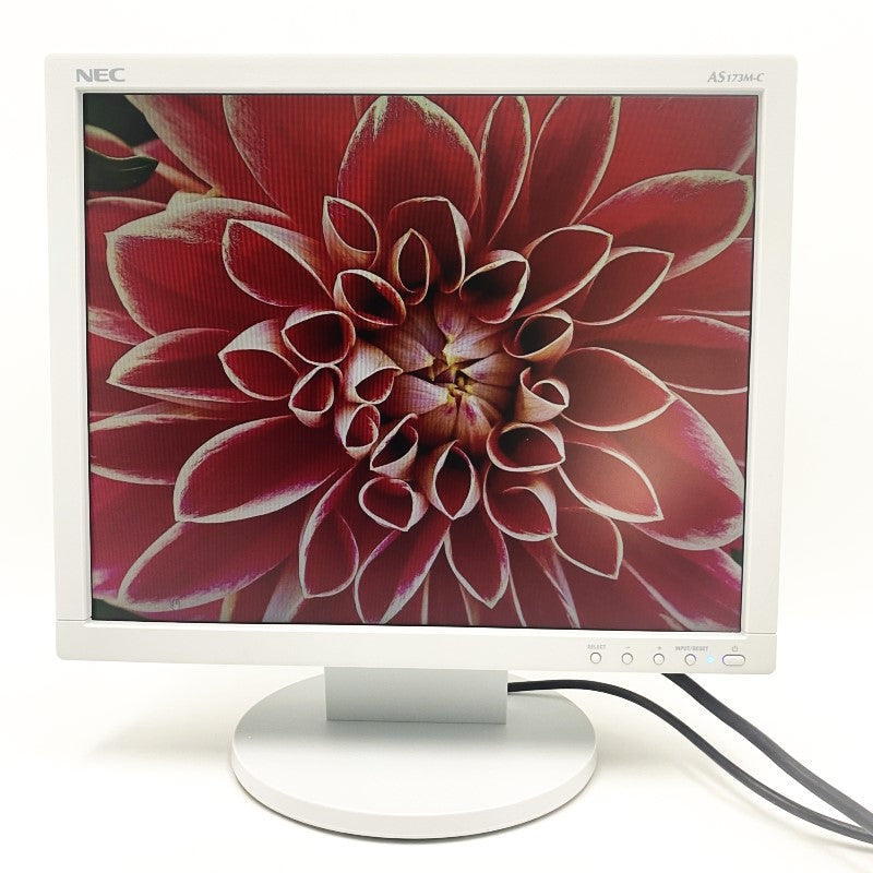 中古モニター】インチ メーカー NEC 型番 LCD-AS173M-C 入力端子