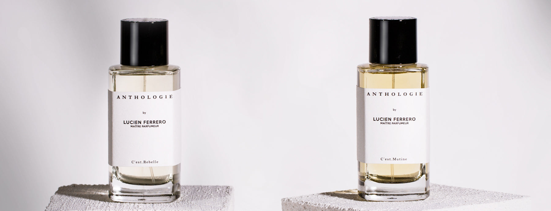 Anthologie｜NOSE SHOP