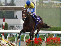 第66回菊花賞・武豊騎乗のディープインパクトが無敗の3冠達成: あずスタ