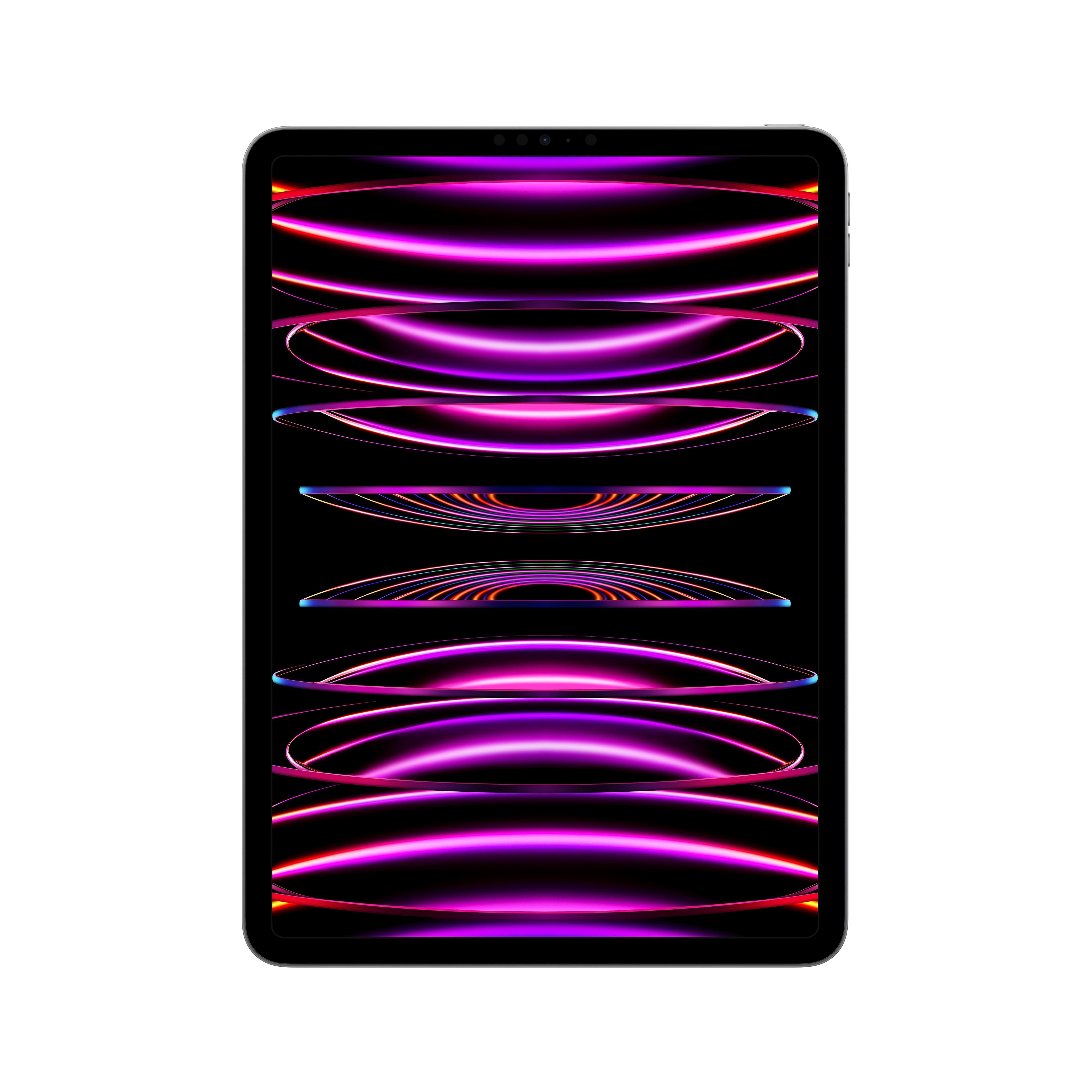 2022 11-inch iPad Pro Wi-Fi 256GB - Space Grey (4th generation