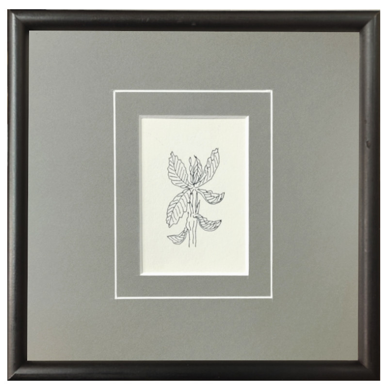 北海道札幌 絵画 販売 蒼い画廊(あおいがろう） 水彩・水墨・パステル