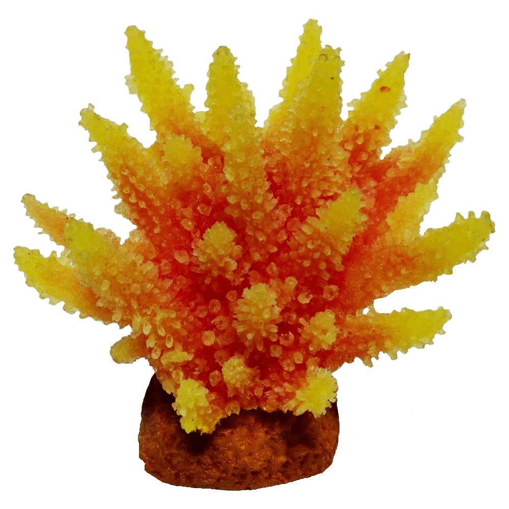 装飾珊瑚 彩り豊かでリアルな飾り珊瑚 - 株式会社スプリング