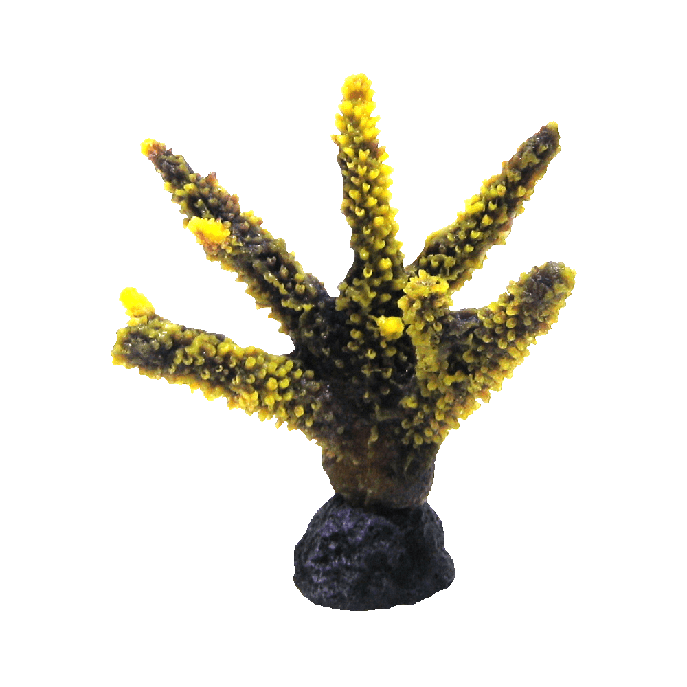 装飾珊瑚 彩り豊かでリアルな飾り珊瑚 - 株式会社スプリング