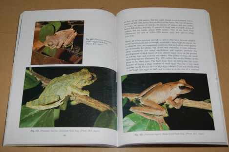 動植物関連書籍 ＞ 爬虫類 ＞ 国・地域別爬虫類 ＞ アジア ＞ サバ州