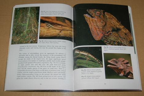 動植物関連書籍 ＞ 爬虫類 ＞ 国・地域別爬虫類 ＞ アジア ＞ サバ州