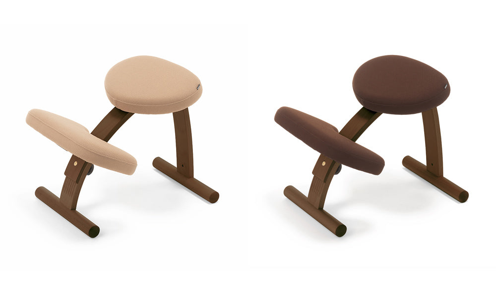 バランス イージーのフレームに「ウォールナット」が登場 – バランス