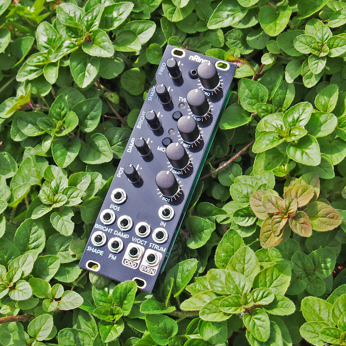 nRings – beatsville