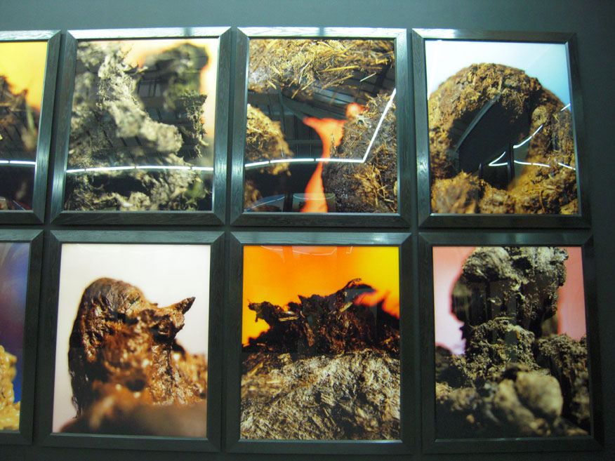 Andres Serrano /アンドレ セラノ「Shit」 | フランスアート界底辺日記