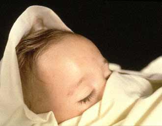 Andres Serrano /アンドレ セラノ「Shit」 | フランスアート界底辺日記