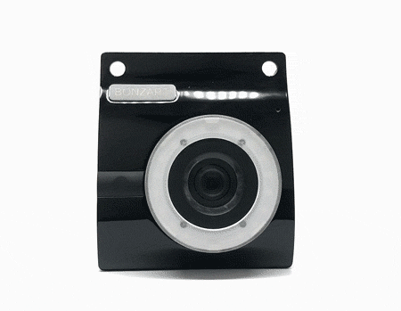 BONZART ZIEGEL – BONZART