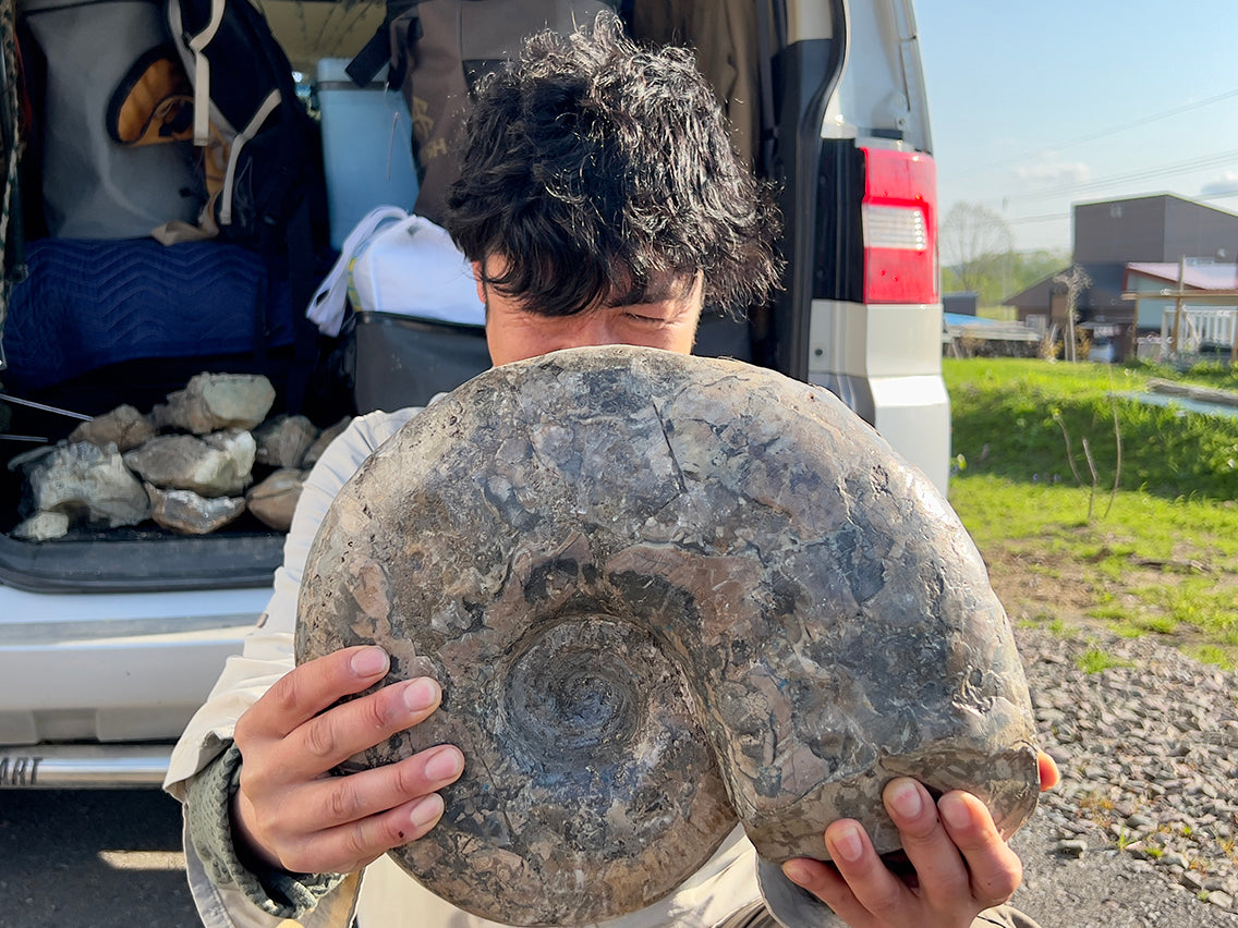 化石大国北海道 – BRECOL