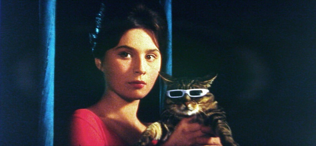 Czech Movies on DVD & Blu-ray with subtitles – tagged 