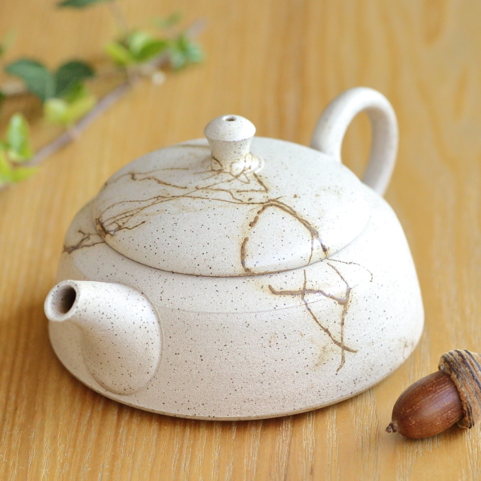 伊藤成二 平型白藻掛け茶壷 満容量180ml 作家ものティーポット 日本茶