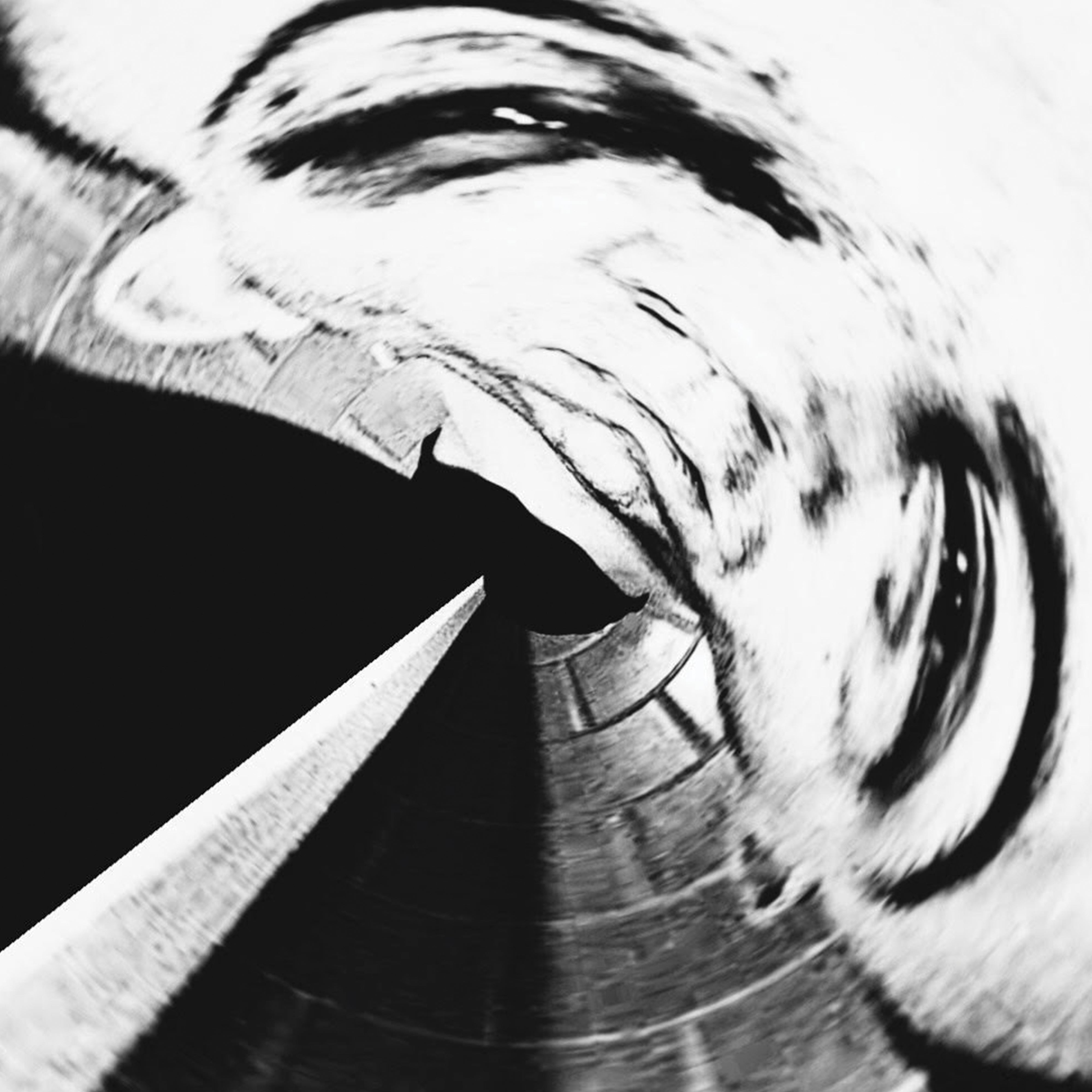 skinhead_orchard.jpg?v=