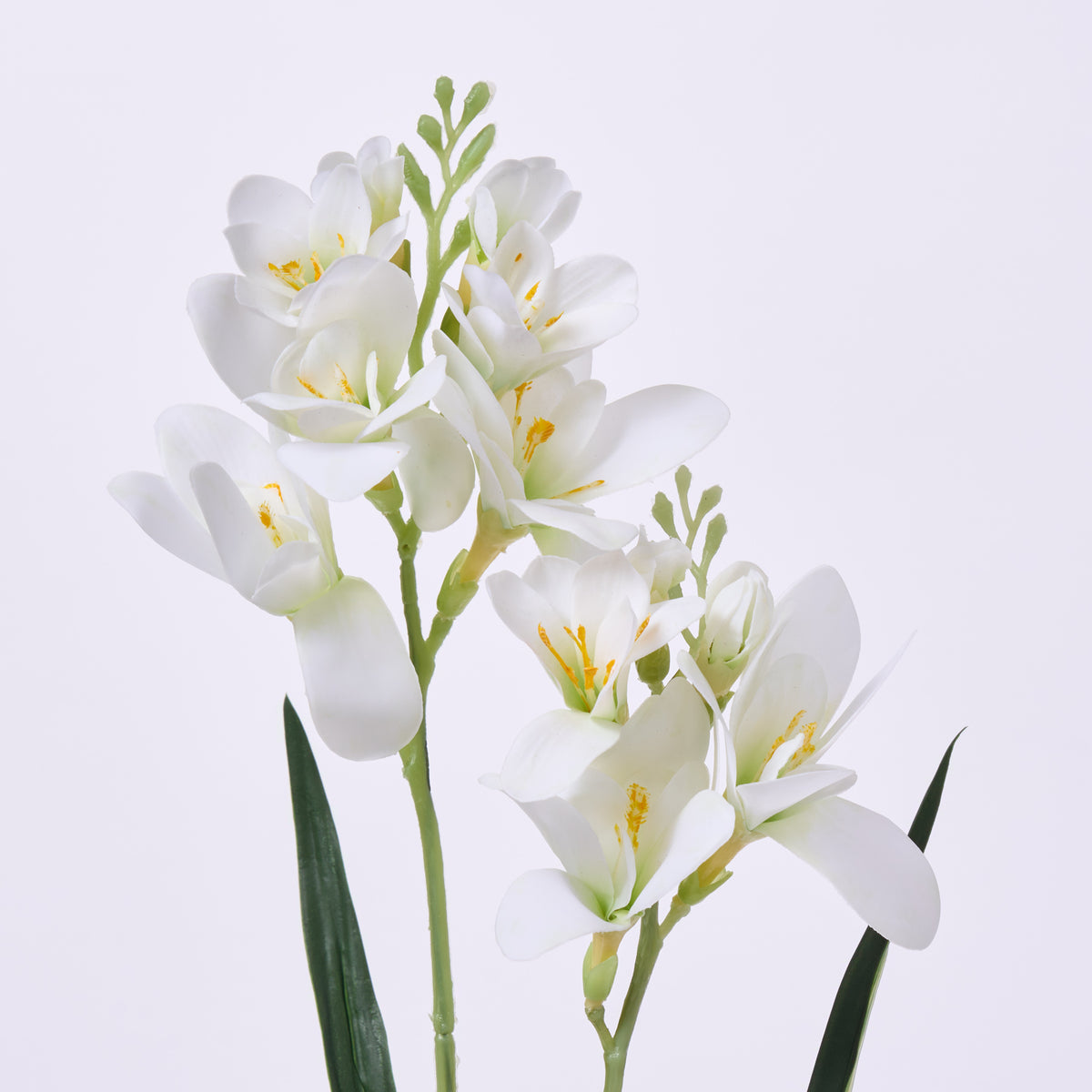 FLWSTM2727WhiteRealTouchFreesi