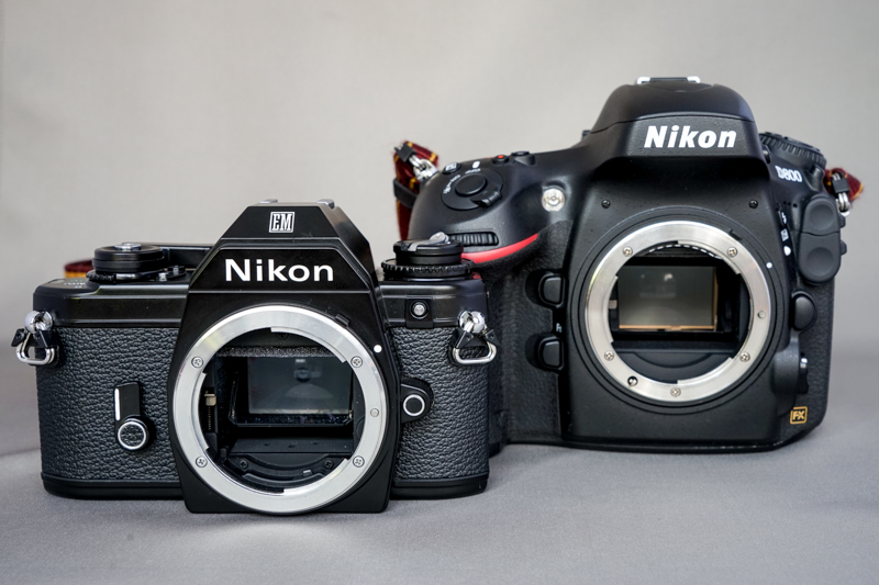 Nikon EM ◇ レビュー ◇ | デジタル試しうち