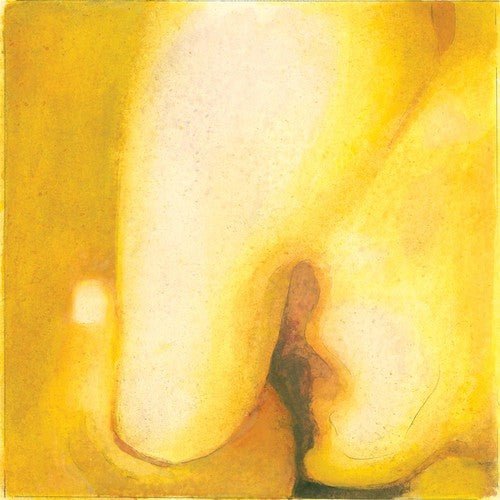 SMASHING PUMPKINS - PISCES ISCARIOT Vinyl LP – Experience Vinyl
