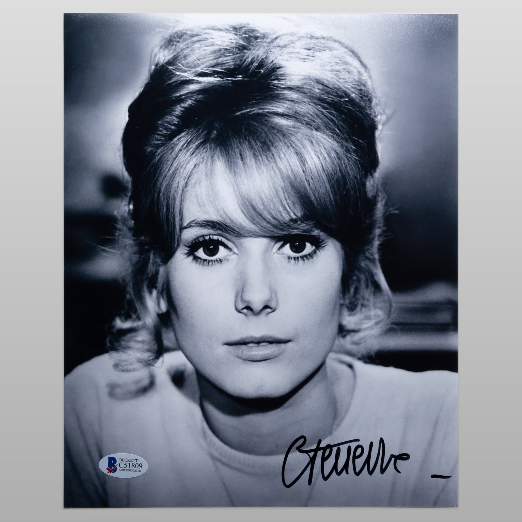 カトリーヌ・ドヌーヴ - ファンコレクションズ