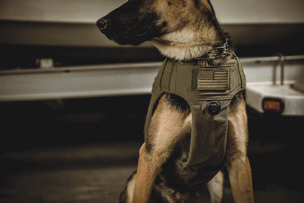 Armor Express ACV BOA Agile Canine Vest| Fire-End
