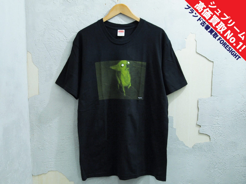 Supreme × Chris Cunningham 'Chihuahua Tee'Tシャツ チワワ フォト
