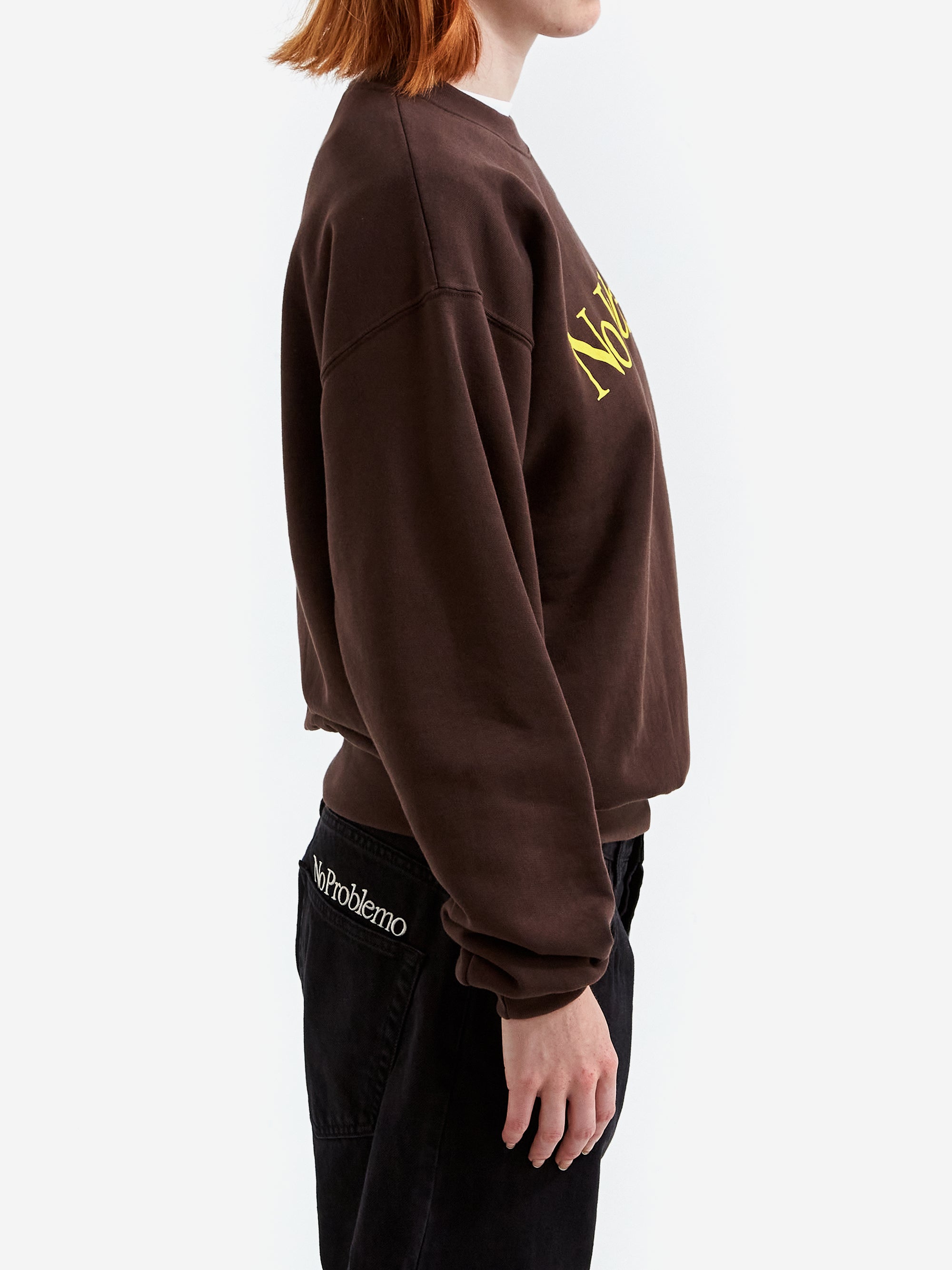 No Problemo Sweatshirt W - Brown – Goodhood