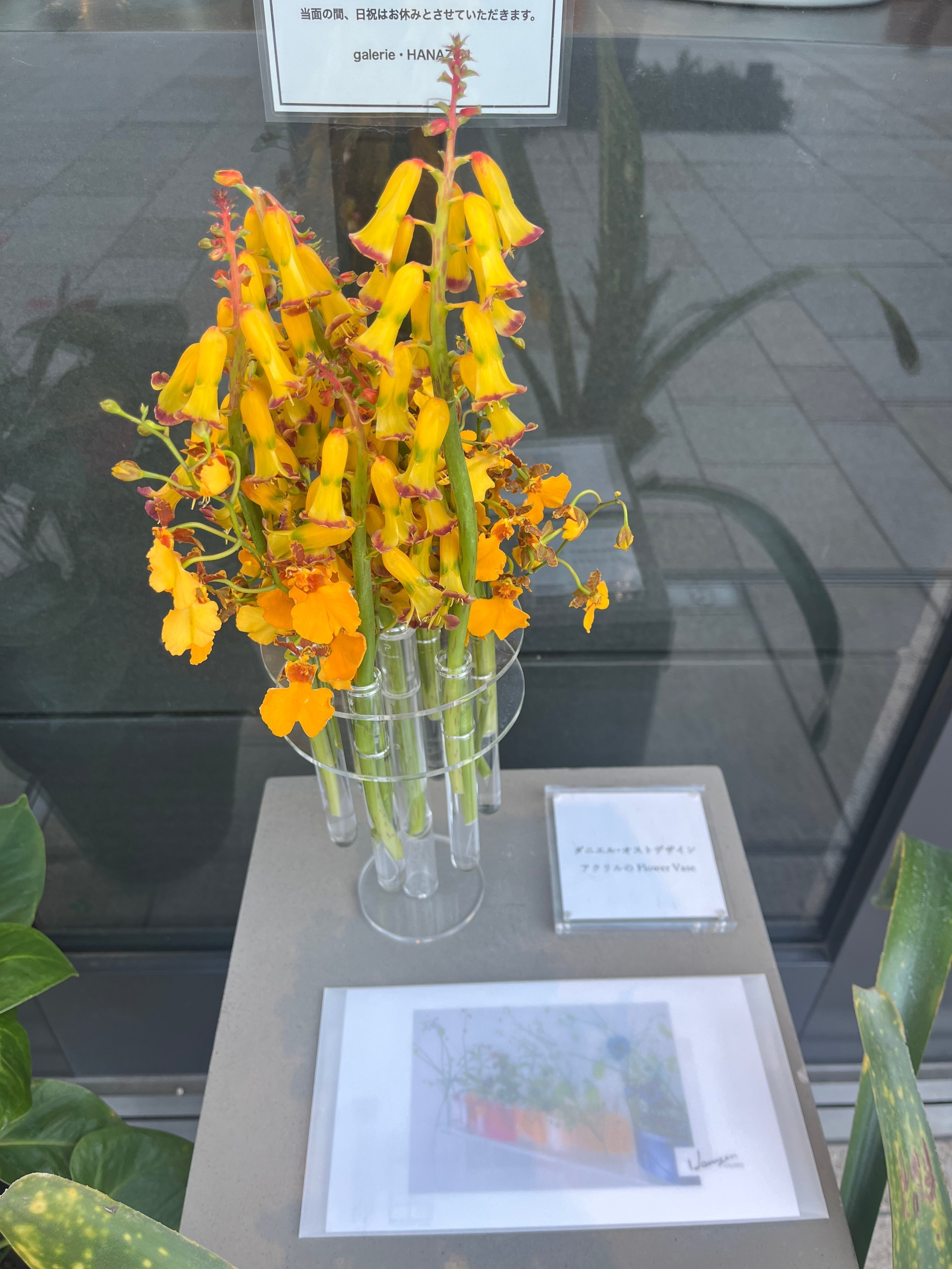 ダニエル・オスト展 inギャラリエはなぜんレポート