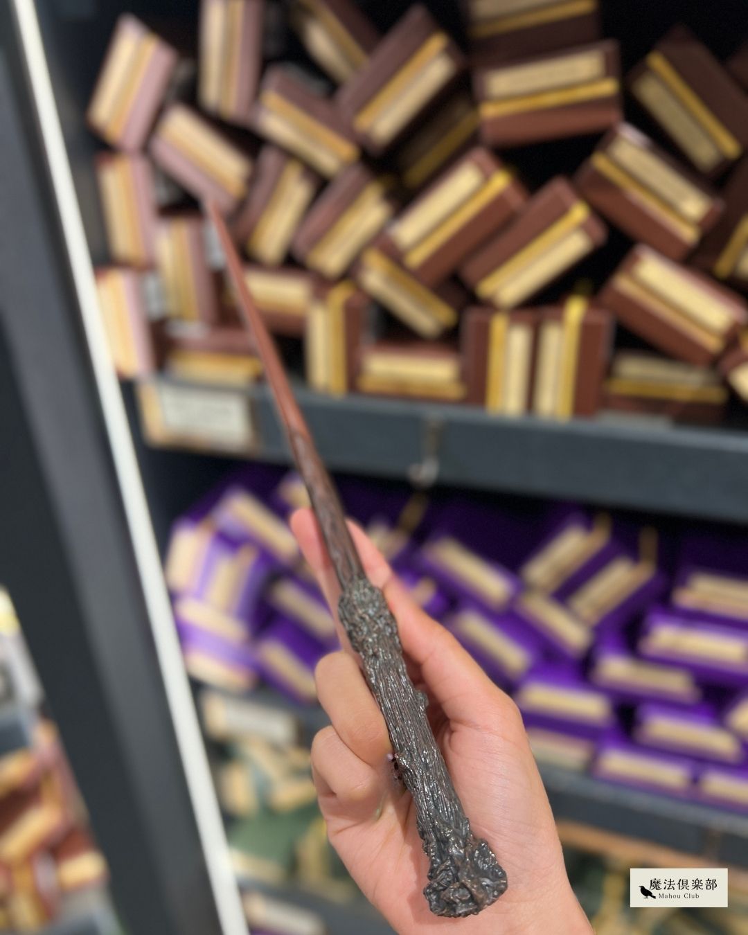 完全版】ハリーポッター｜魔法の杖の種類と持ち主まとめ【素材・芯・長