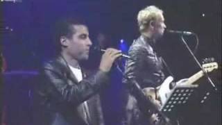 Desert Rose - Sting & Cheb Mami - YouTube