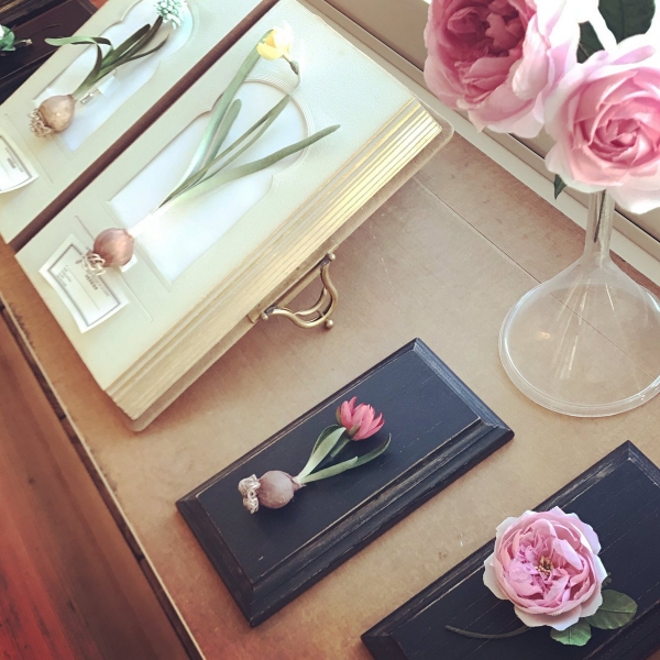 utopiano「布花標本 布で作る20の植物とブローチ」出版記念イベント