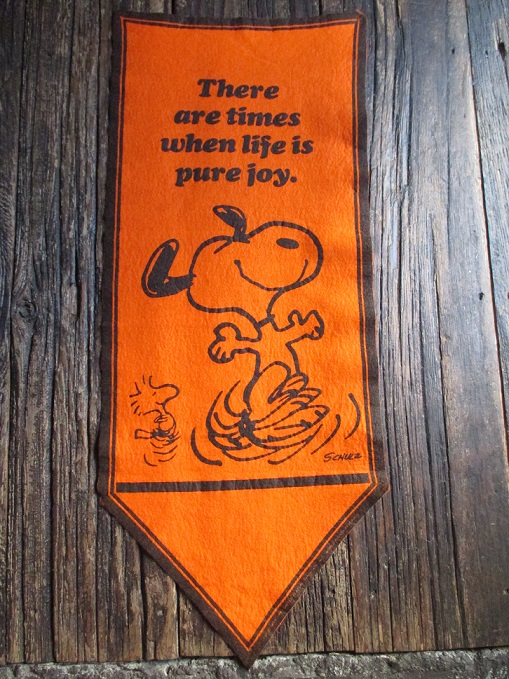 ピーナッツフェルトバナー | インディヒナ | AMERICAN JUNK STYLE INDIGENA