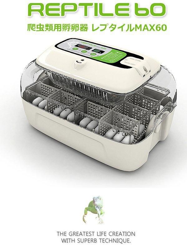 爬虫類用孵卵器
