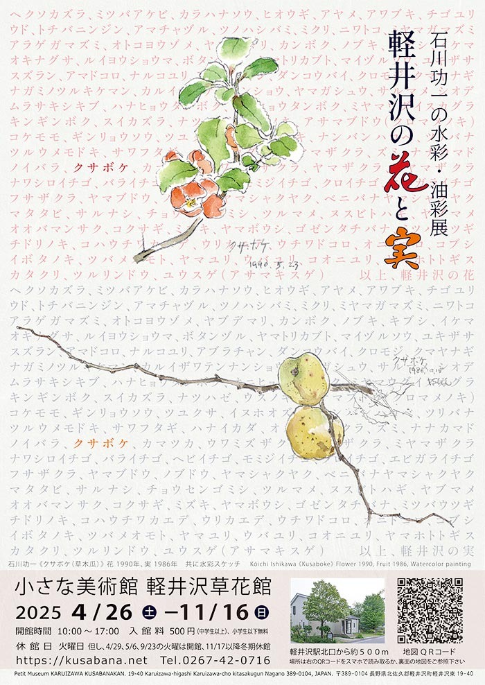 2025】石川功一の水彩・油彩展 軽井沢の花と実（ニワトコ）6/28