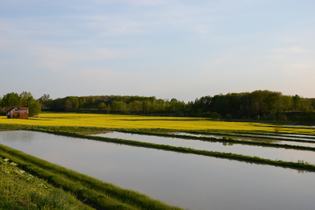北海道滝川市～空も大地もアートも医療も、味方につける。｜カイ