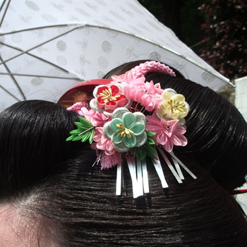 日本髪図鑑 006 鴛鴦（東京）