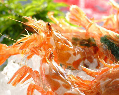 白えび【冷凍】 – カネニ