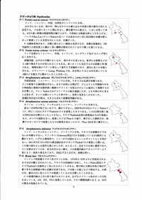 私のラオス蝶類図譜