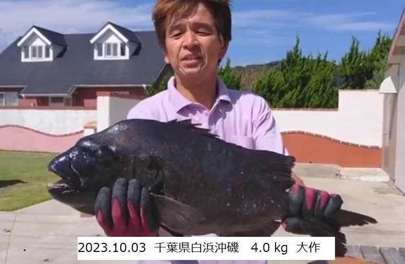 伊豆半島を中心に活動する石鯛釣りクラブ