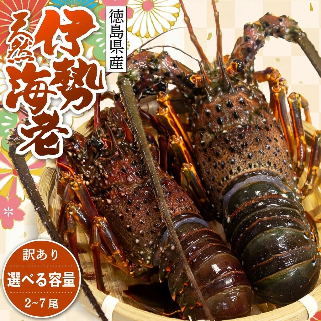 伊勢海老（徳島県産） 訳あり 約600g（2～4尾） / 約1kg（2～7尾