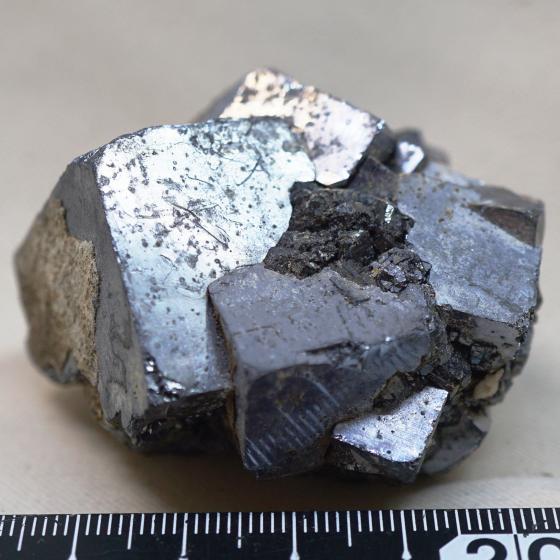 日本産鉱物・JAPAN ＞ 東北地方 ＞ 方鉛鉱・Galena