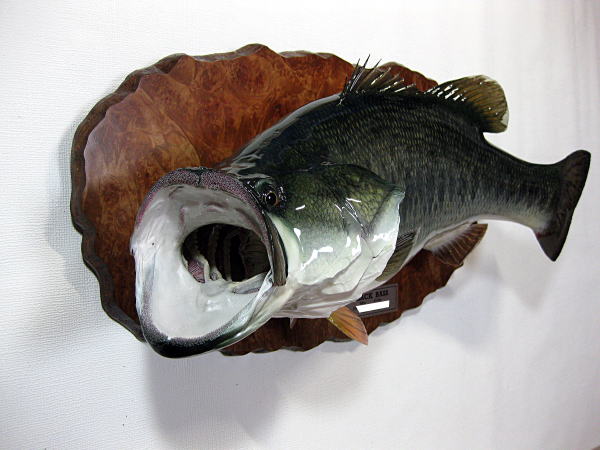 ブラックバス剥製作品集 No.4