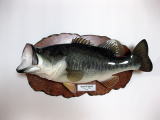 ブラックバス剥製作品集