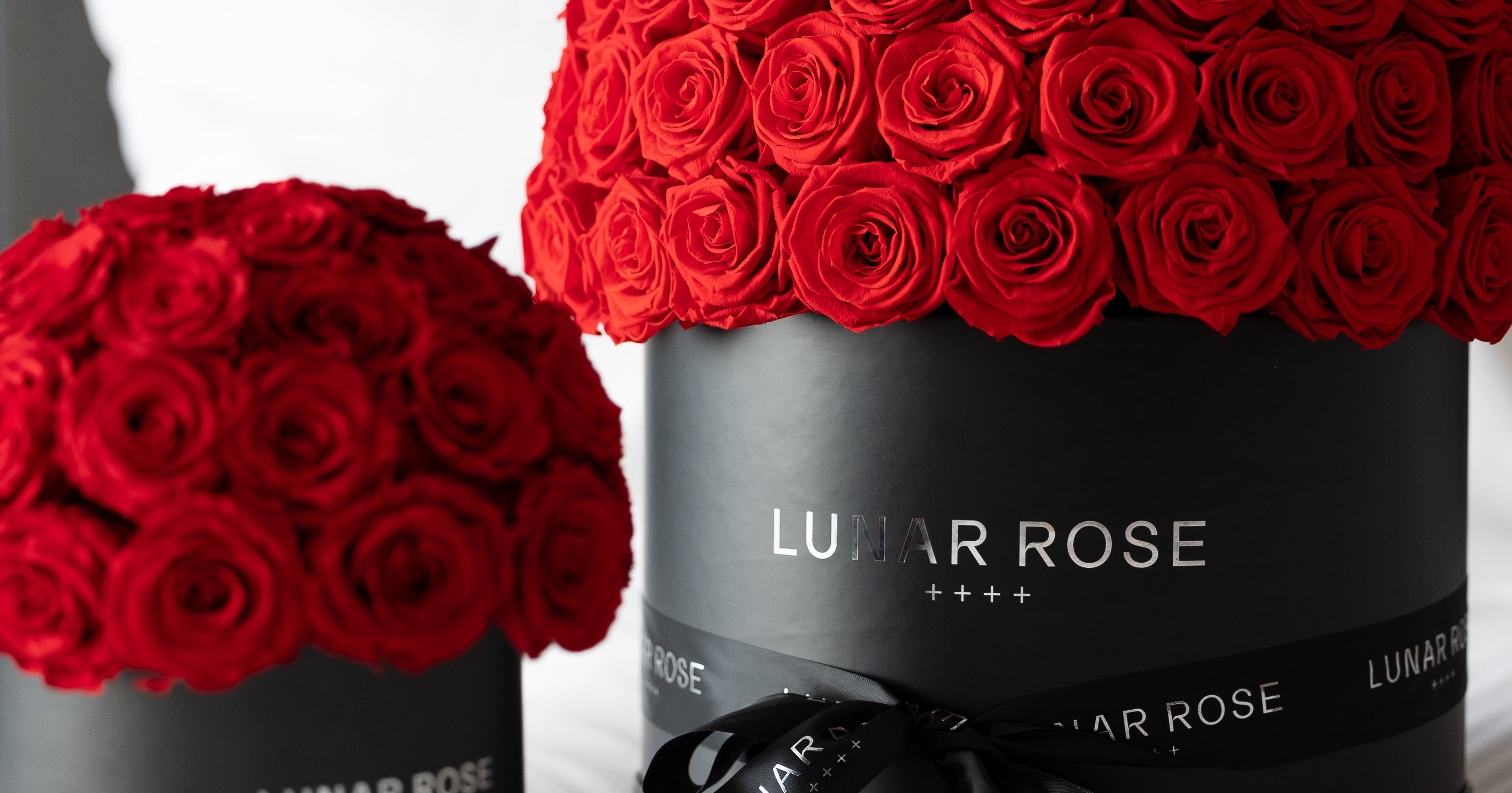 LUNAR ROSE | ルナーローズ | 高級プリザーブドローズ | 枯れない