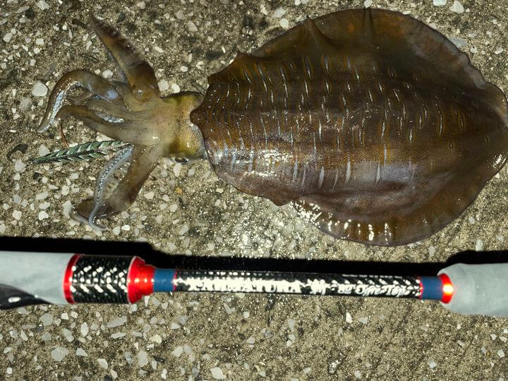 斬82オウガトップの使用感 - LEGAME