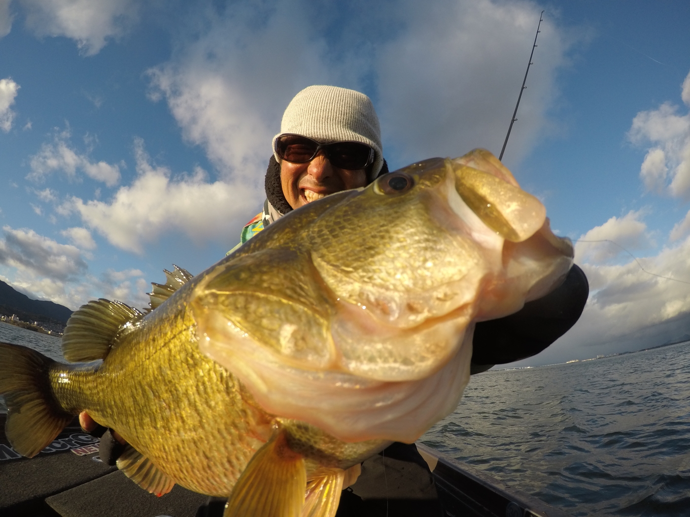 レジットデザイン＞新製品情報：ワイルドサイド2019新製品 | 名古屋