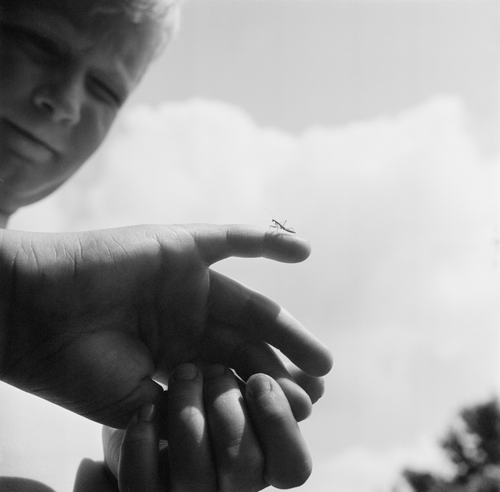 Jesse Lenz: The Seraphim : Charcoal Press - LENSCRATCH