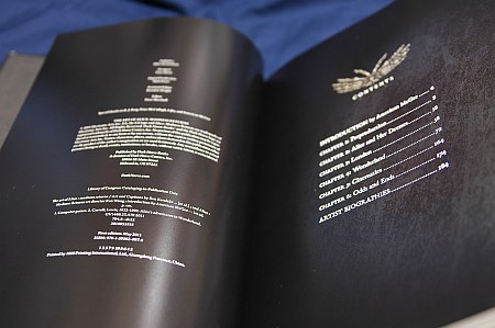 Art of Alice: Madness Returns の版を確認する - 徒然ちょっとメモ'