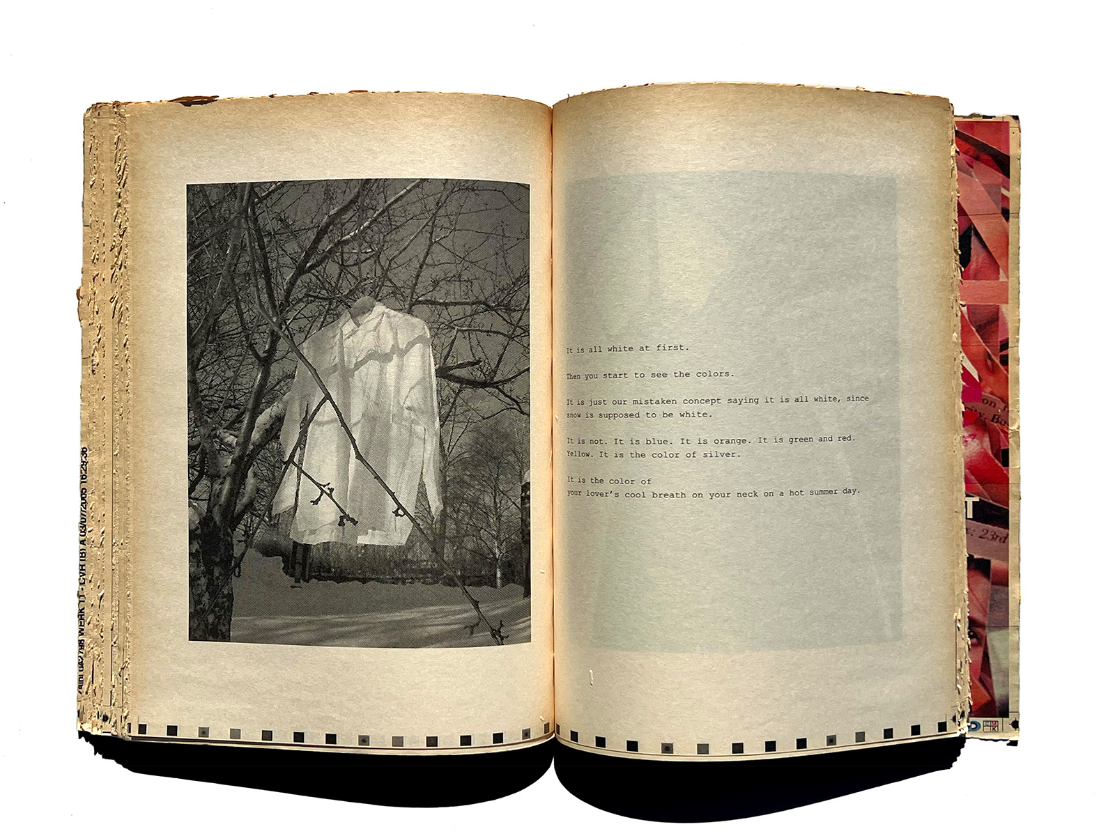 WERK 11 Guerrillazine Bastardized In Collaboration with COMME des