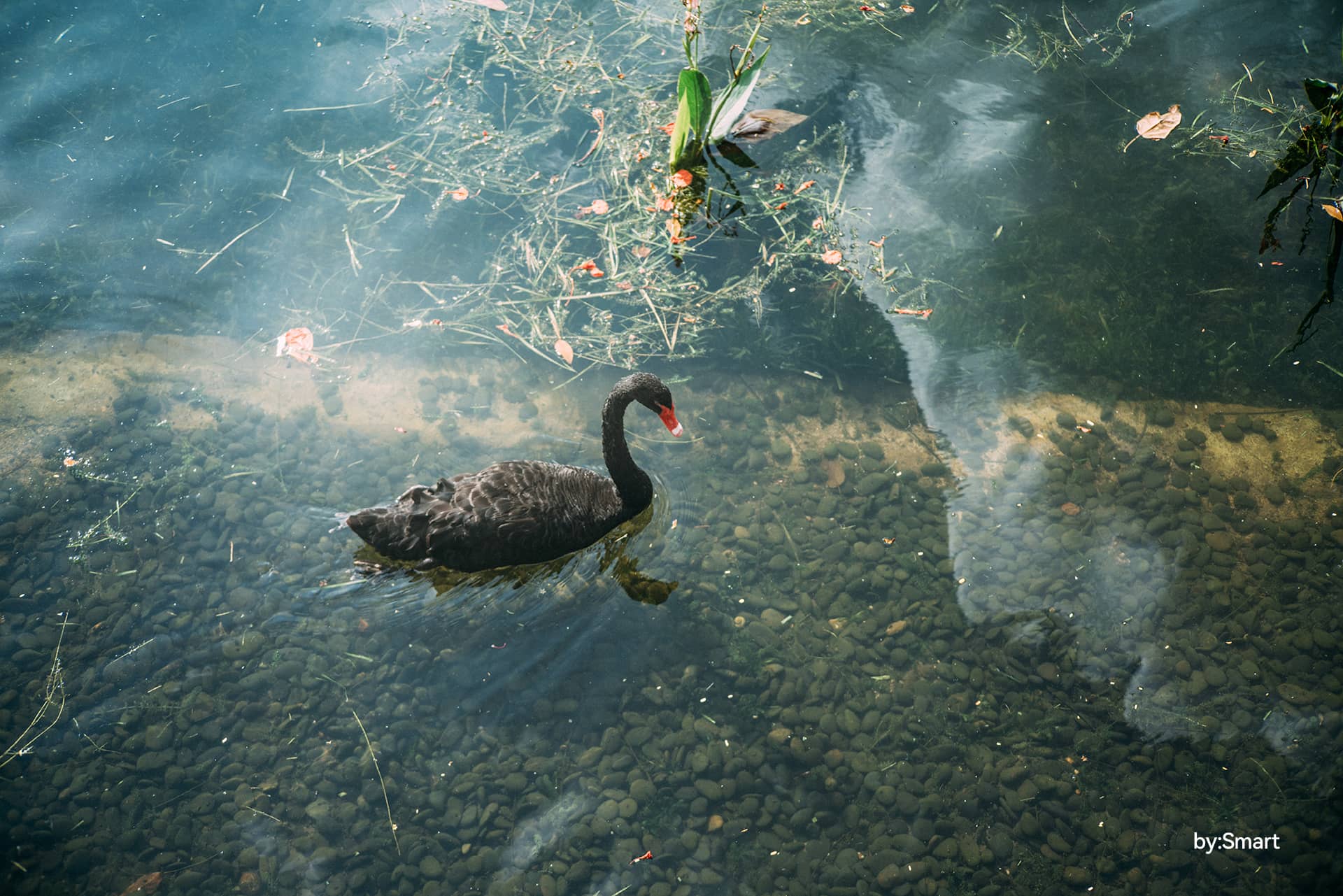TTArtisan 50mm f2レビュー--Sony、Fuji、Nikon、M4 / 3、Leicaカメラ