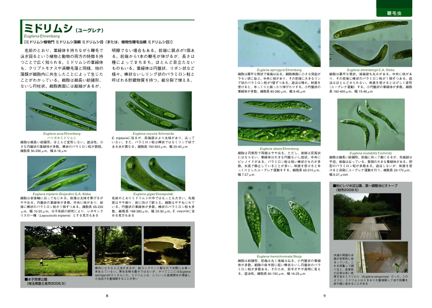 淡水微生物図鑑」発刊のお知らせ